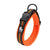 Reflective Mesh Padded Dog Collar Pet Collars & Harnesses BestPet Orange XX Small 