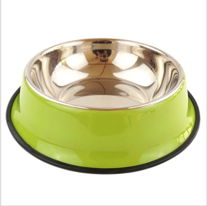 Stainless Steel Pet Food and Water Bowl 4 Colours! Pet Bowls, Feeders & Waterers BestPet Green Small 