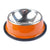 Stainless Steel Pet Food and Water Bowl 4 Colours! Pet Bowls, Feeders & Waterers BestPet Orange Small 