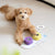 Voice Recording Buttons Dog Toy Dog Toys Best Pet 