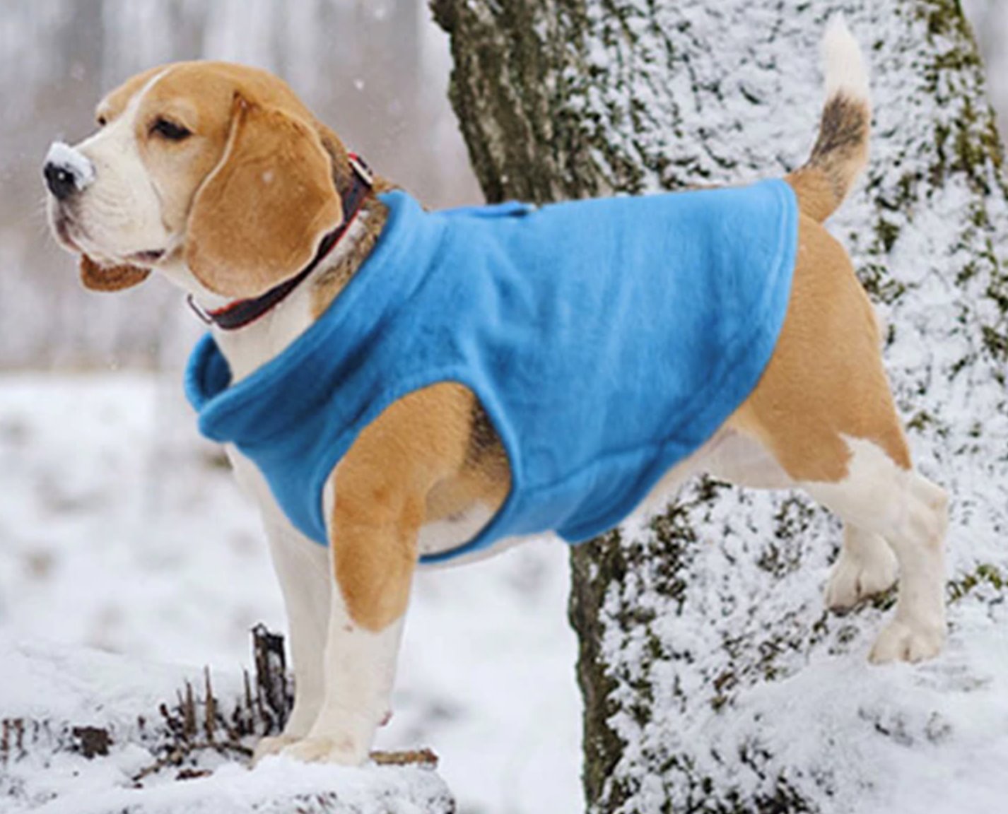 Warm Fleece Pet Coat Dog Apparel BestPet 