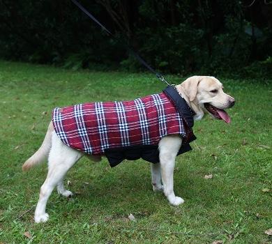 Waterproof Reversible Warm Fleece Dog Coat Dog Apparel BestPet 