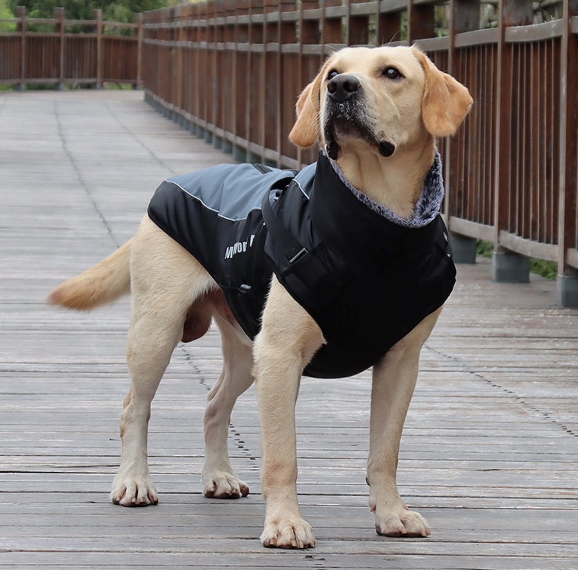 Waterproof Winter Thick Dog Coat With Harness Dog Apparel BestPet 