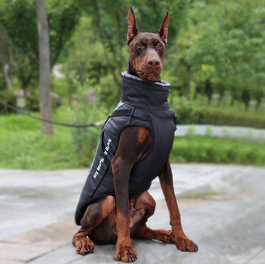 Waterproof Winter Thick Dog Coat With Harness Dog Apparel BestPet 