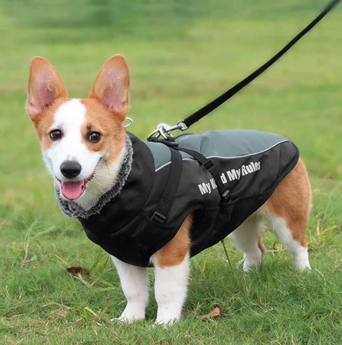 Waterproof Winter Thick Dog Coat With Harness Dog Apparel BestPet 