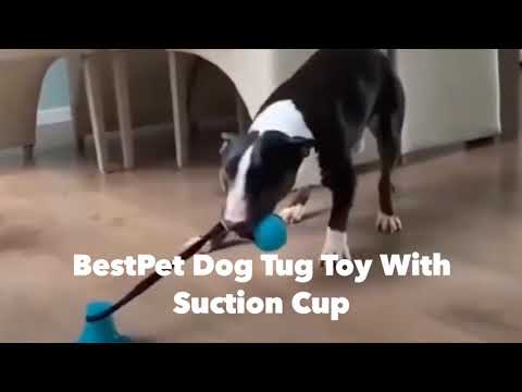 Dog Tug Ball With Suction Cup